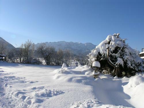 G�stehaus Scheil Apartments