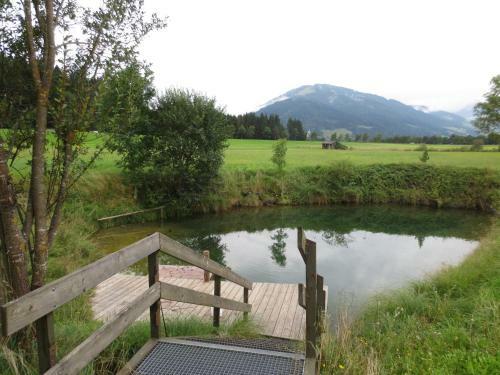 Agroturismo Mussbachhof