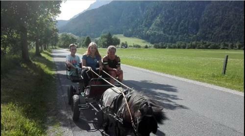 Agroturismo Mussbachhof
