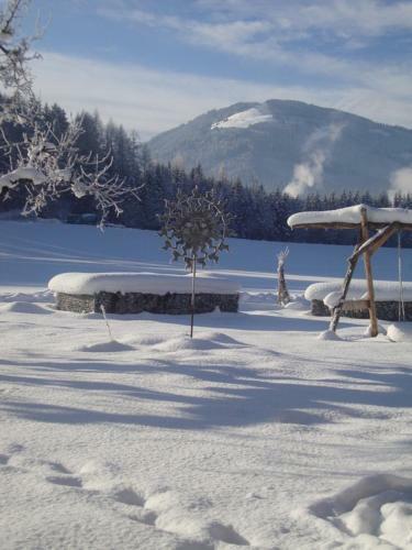 Agroturismo Mussbachhof