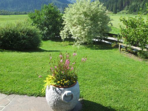 Hostal G�stehaus Scharler