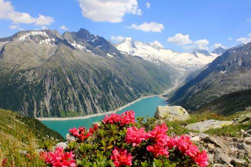 Bed & Breakfast G�stehaus Ahornblick