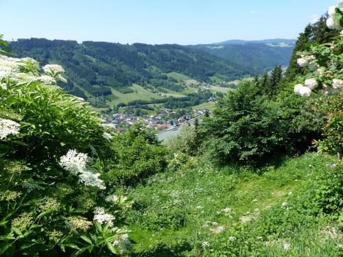 Hotel Zum Schiffmeister