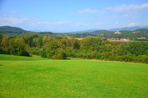 Apartamento Ferienwohnung Martinschitz