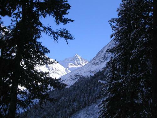 Apartamento Appartementhaus Nadine