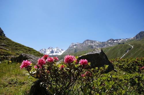 Apartamento Appartementhaus Nadine