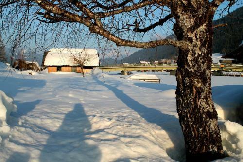 Bed & Breakfast Fr�hst�ckspension Seerose