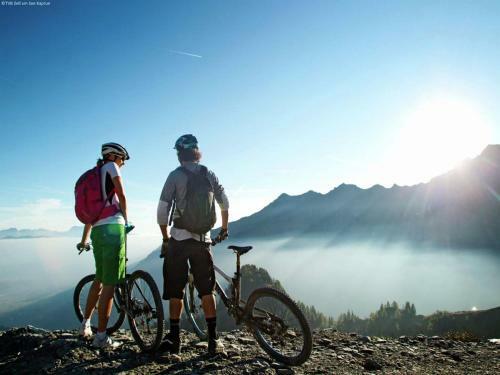 Chalet Tauern Lodge L