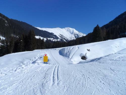 Hotel Gasthof Walderhof