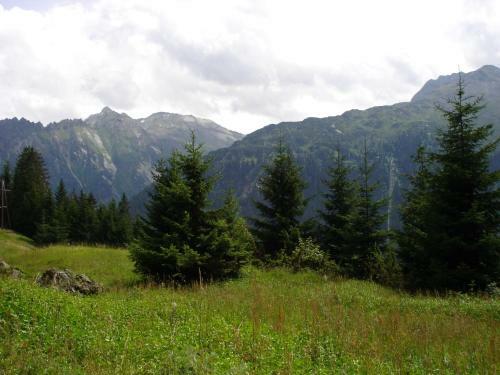 Apartamento Ferienhaus B�sch
