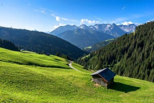 Apartamento Alps Tux