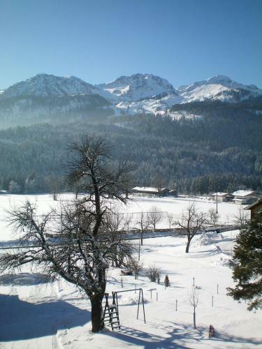 Apartamento Haus Steffi