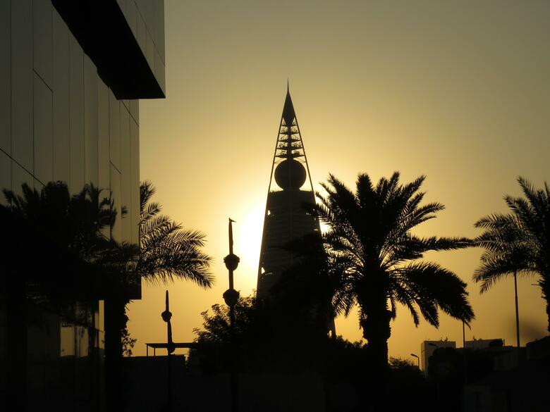 Hotel Holiday Inn Olaya