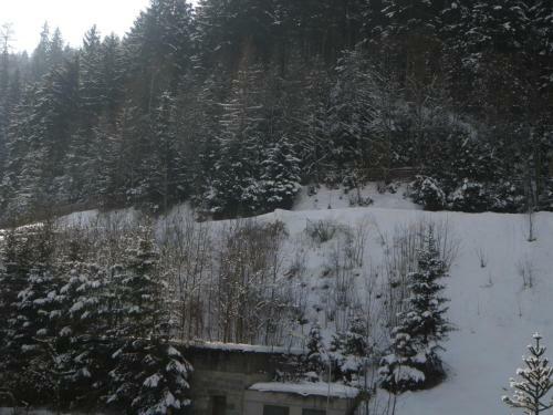 Apartamento Appartement Schlosser