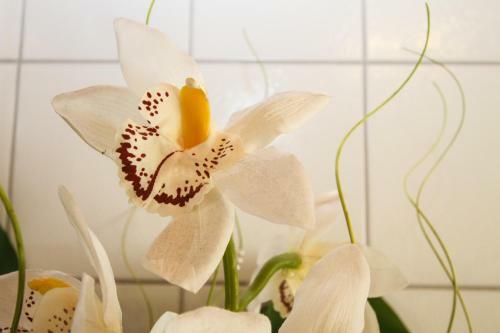 Apartamento Ferienwohnungen Anita
