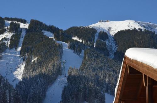 Chalet Schmitten By Alpen Apartments