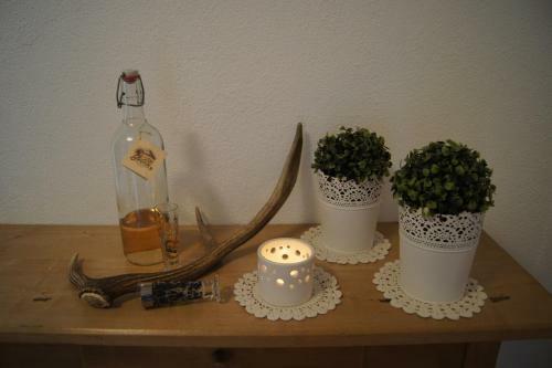 Apart Konrad