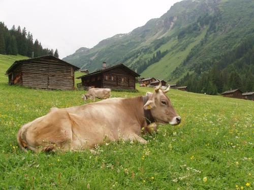 Apartamento Appart Fernblick