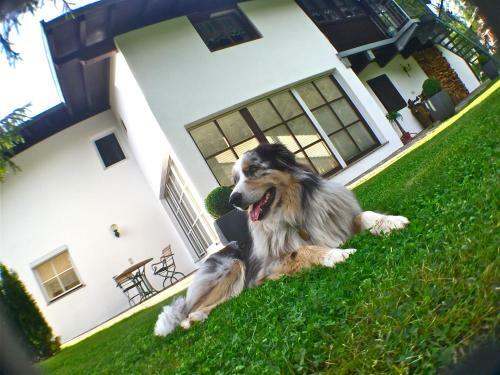 Jack's Lake & Mountain (jlm) Hostel