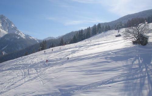 Apart Alpin