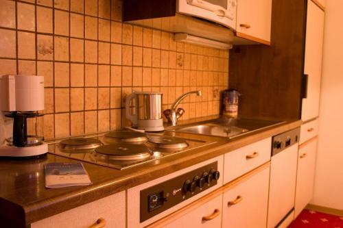 Apartamentos Appartement Roggal