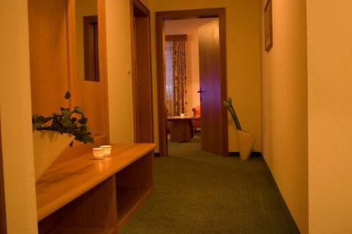 Apartamentos Appartement Roggal