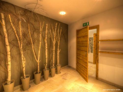 Apartamento Kaprun Mountain Resort By Kaprun Rentals