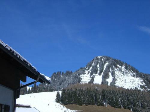 Apartamento Haus Amann