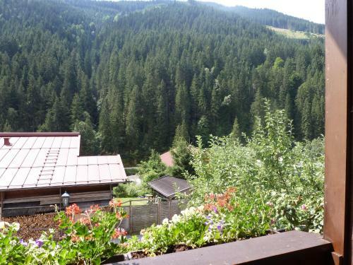 Apartamento Appartement Ripper