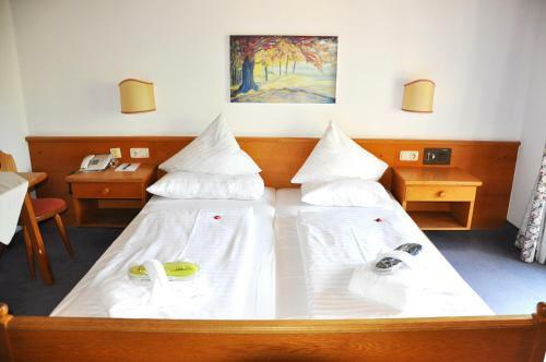 Hotel Alpine Palace