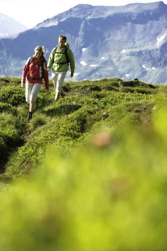 Apartamento Appartementhaus Gastein
