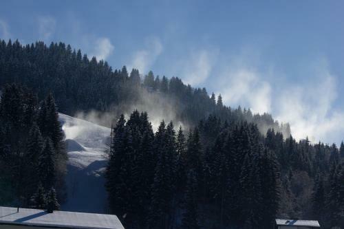 Apartamento Appartement Baumgartner