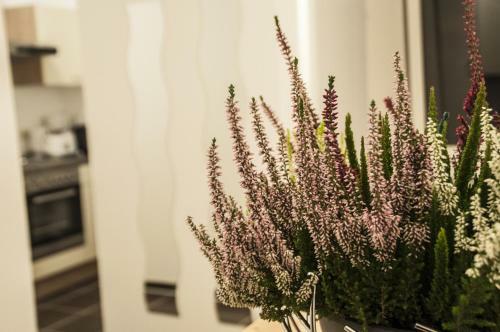 Apartamento Urban Flats Vienna Danube