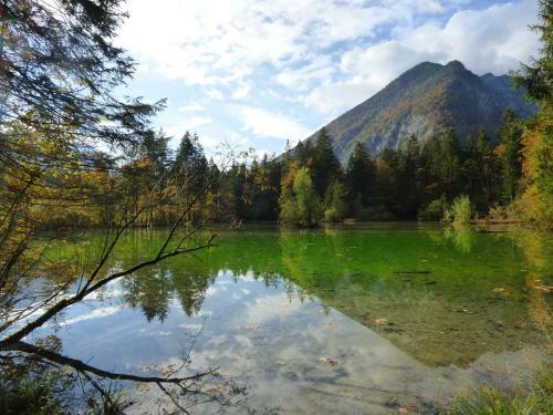 Apartamento Haus Bergblick
