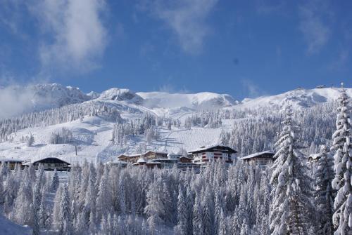 Apartamento Alpenrose Nassfeld
