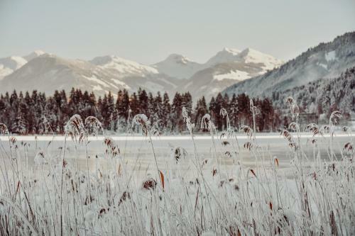 Alpenhotel Kitzb�hel