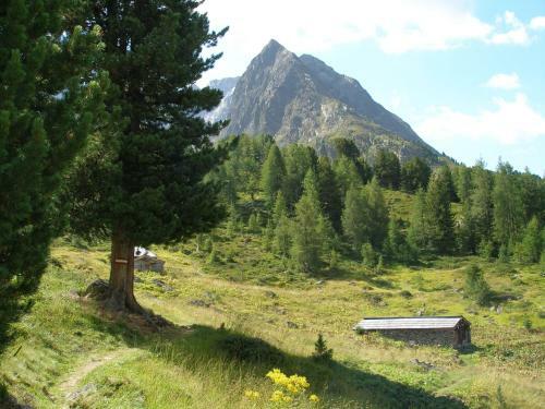 Hotel Arnika