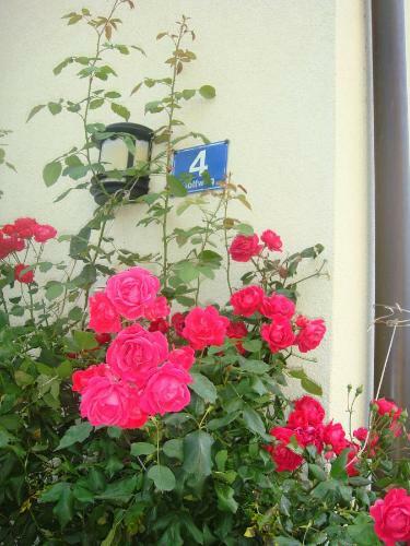 Apartamento Ferienwohnungen Steger
