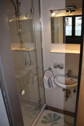 Hostal Adlerhorst