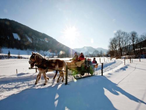 Chalet Alisa