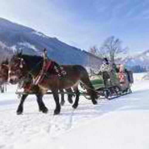 Apartamento Landhaus Tirol