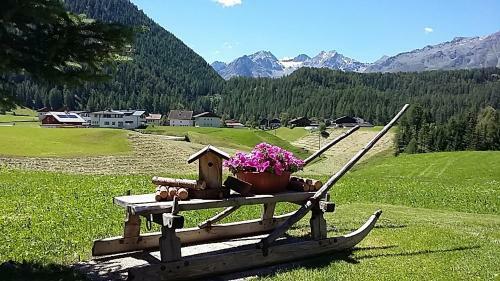 Apartamento Haus Sonneck