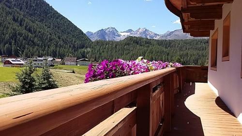 Apartamento Haus Sonneck