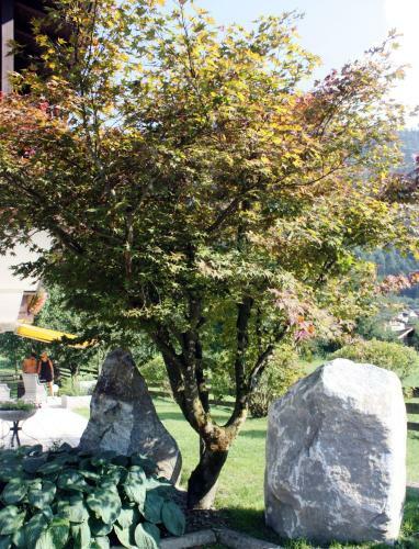 Apartamentos Appartement M�hle