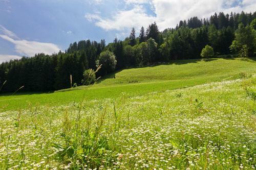 Apartamento Appartement Klosterh�gel