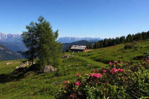 Apartamento Appartements Wirnsperger