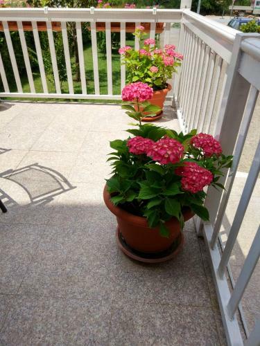 Hostal Guest House Regina Mundi