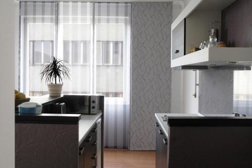Apartment Centerlux
