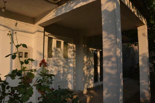 City View Apartment