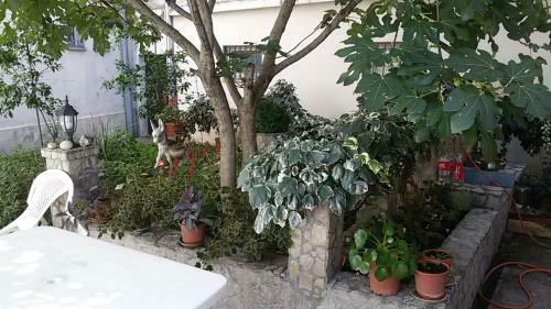 Hostal Guest House Mirza